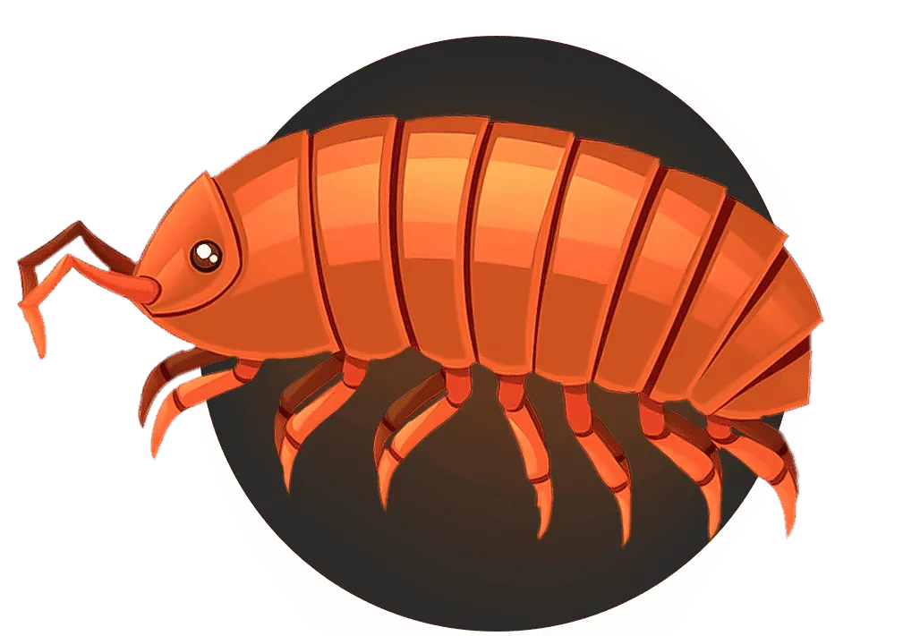 Уничтожение мокриц СанПин Сервис